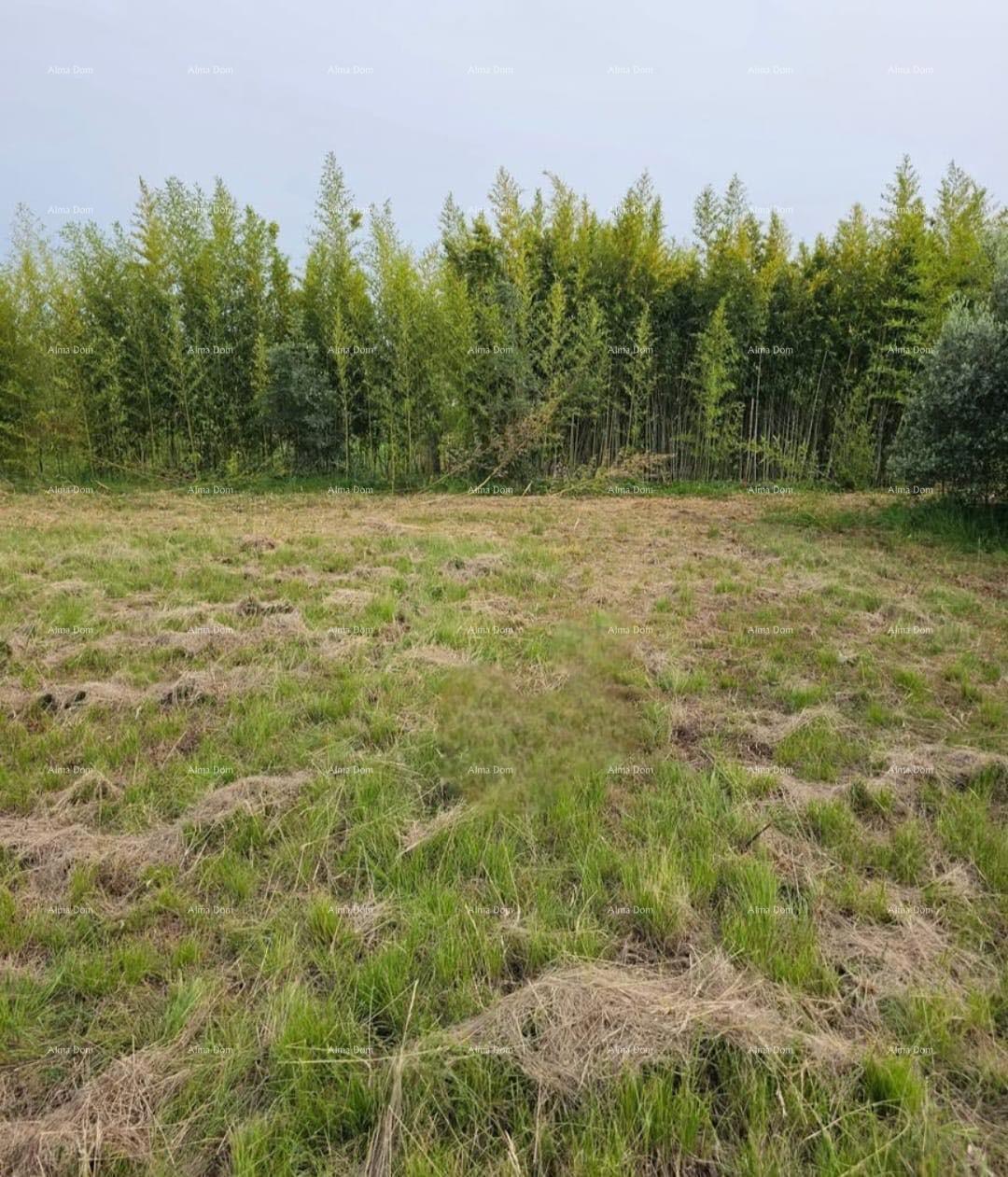 Umag – Terreno edificabile in un ambiente tranquillo, vicino al mare e al centro