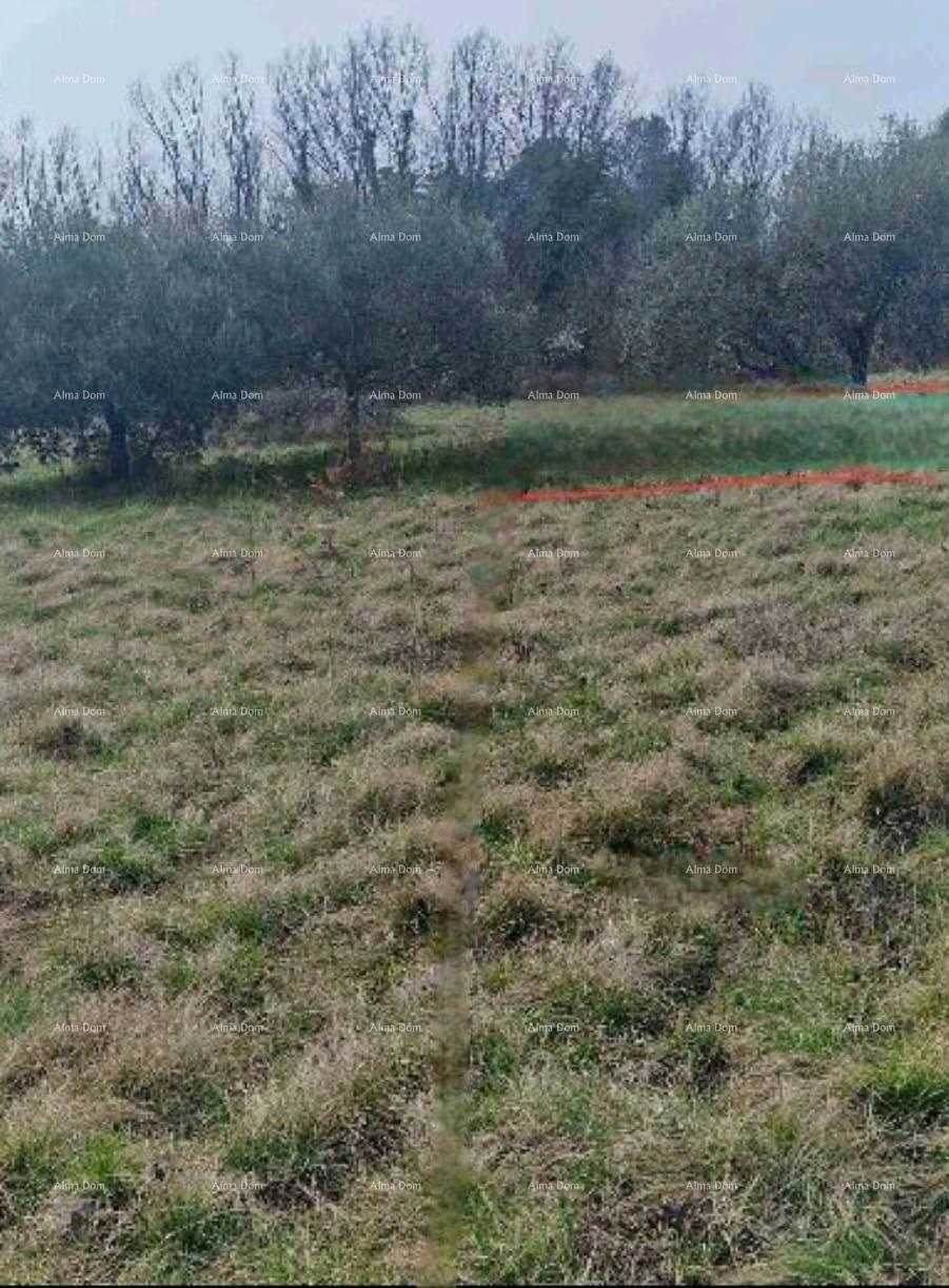 Umag – Terreno edificabile in un ambiente tranquillo, vicino al mare e al centro