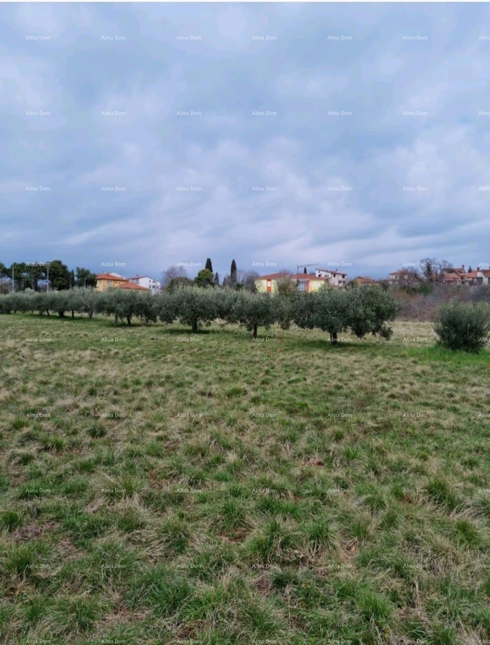 Umag – Terreno edificabile in un ambiente tranquillo, vicino al mare e al centro