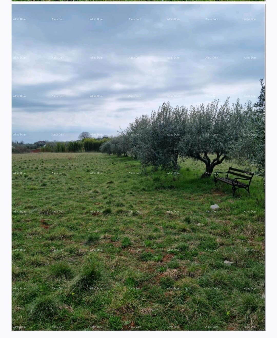 Umag – Terreno edificabile in un ambiente tranquillo, vicino al mare e al centro