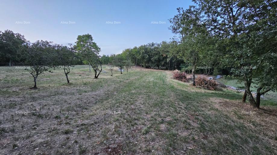 Terreno edificabile a Tinjano (Istria), 3.623 m²