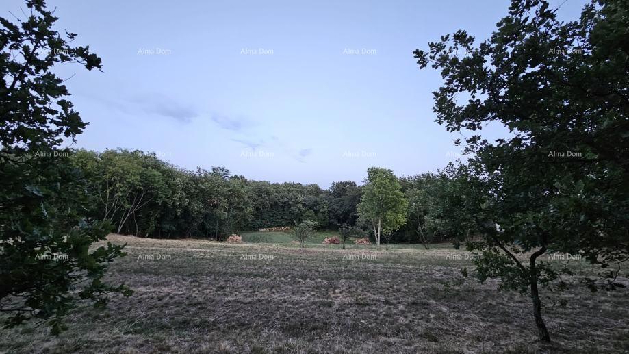 Terreno edificabile a Tinjano (Istria), 3.623 m²