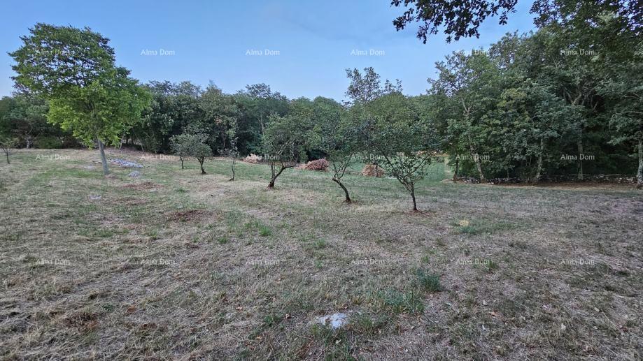 Terreno edificabile a Tinjano (Istria), 3.623 m²