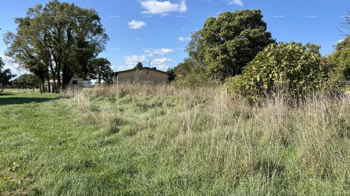 Marčana Cokuni  TERRENO