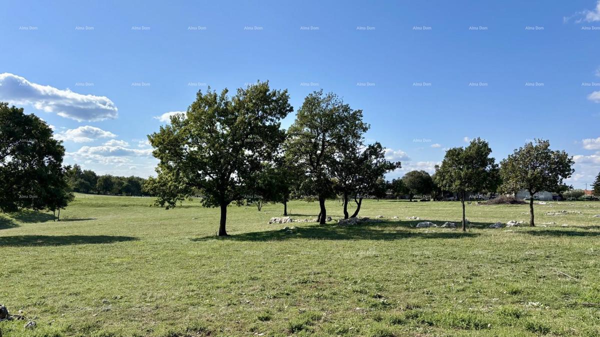 Marčana Cokuni  TERRENO