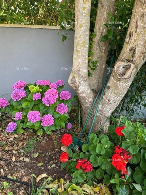 Istria, Ližnjan, 1 km dal centro di Medulin, nuova casa moderna con piscina per le vacanze.