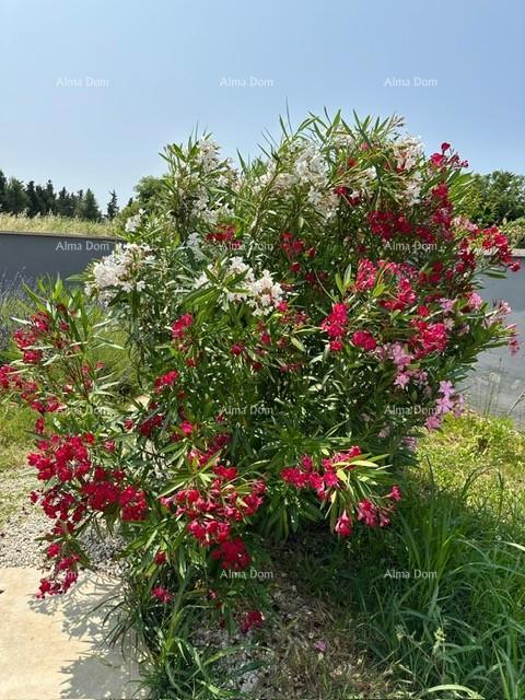Istria, Ližnjan, 1 km dal centro di Medulin, nuova casa moderna con piscina per le vacanze.
