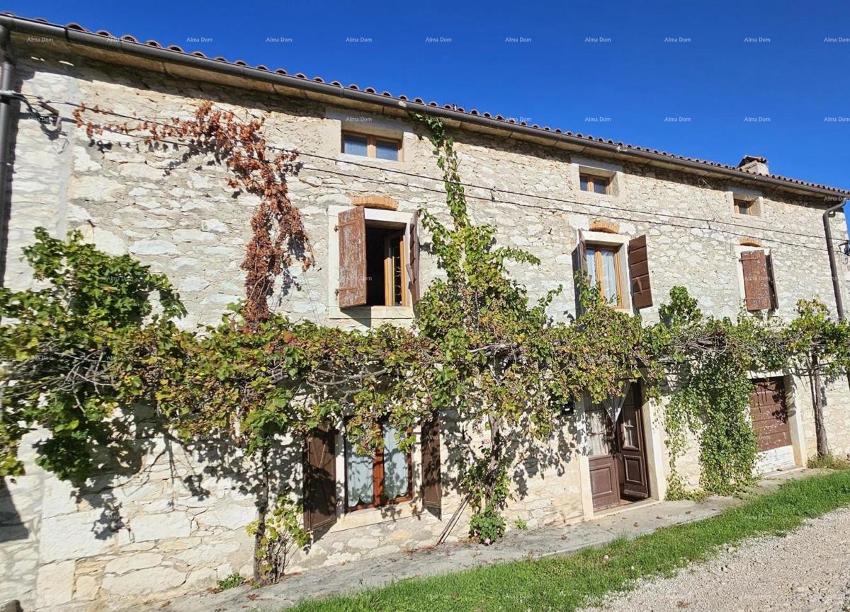 Vendita - autentica casa in pietra con 2 edifici accessori e ampio cortile, Brtonigla!