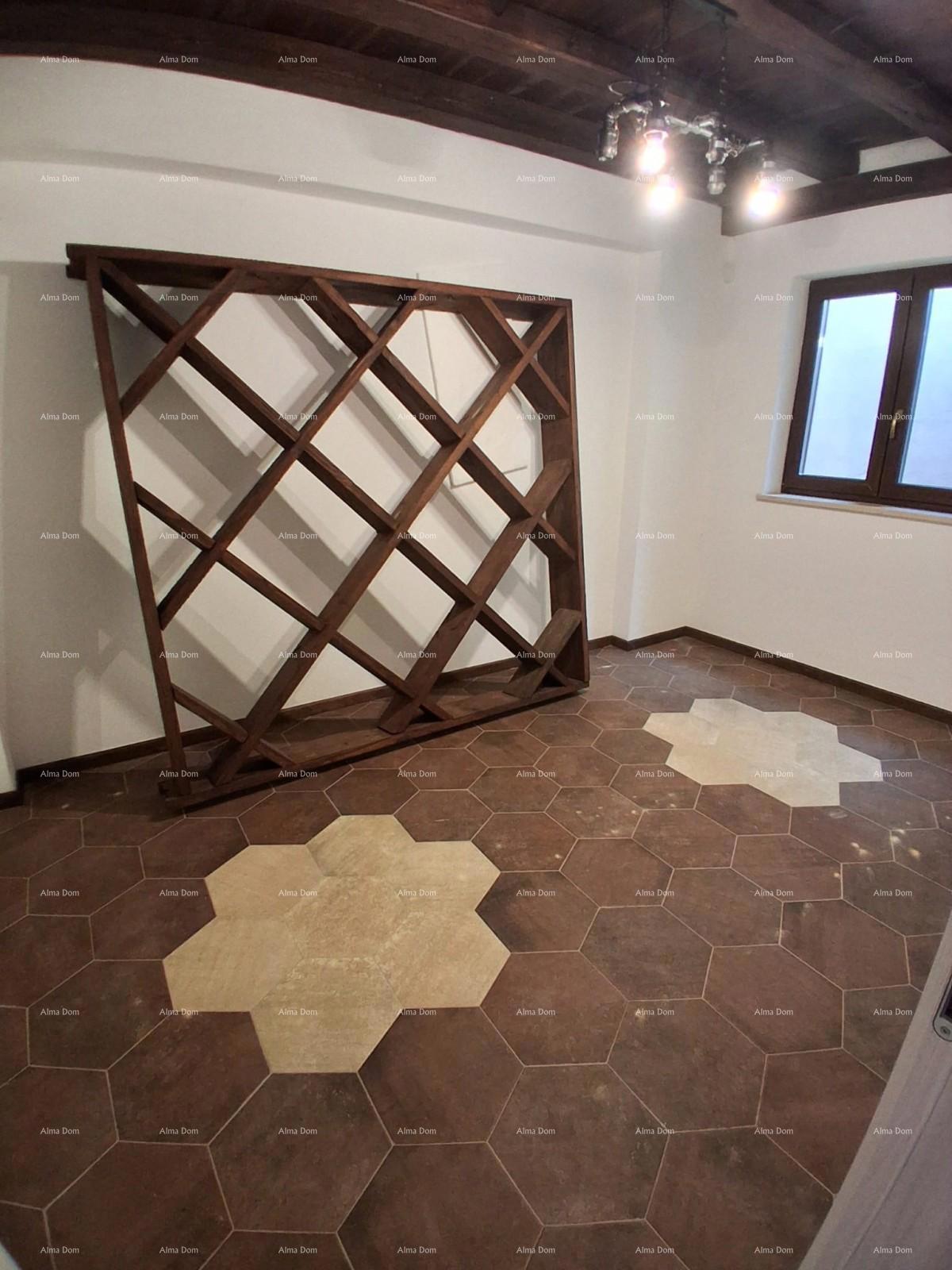 Vendita - villa di lusso con ampio giardino, piscina, stanza benessere e palestra, Poreč!