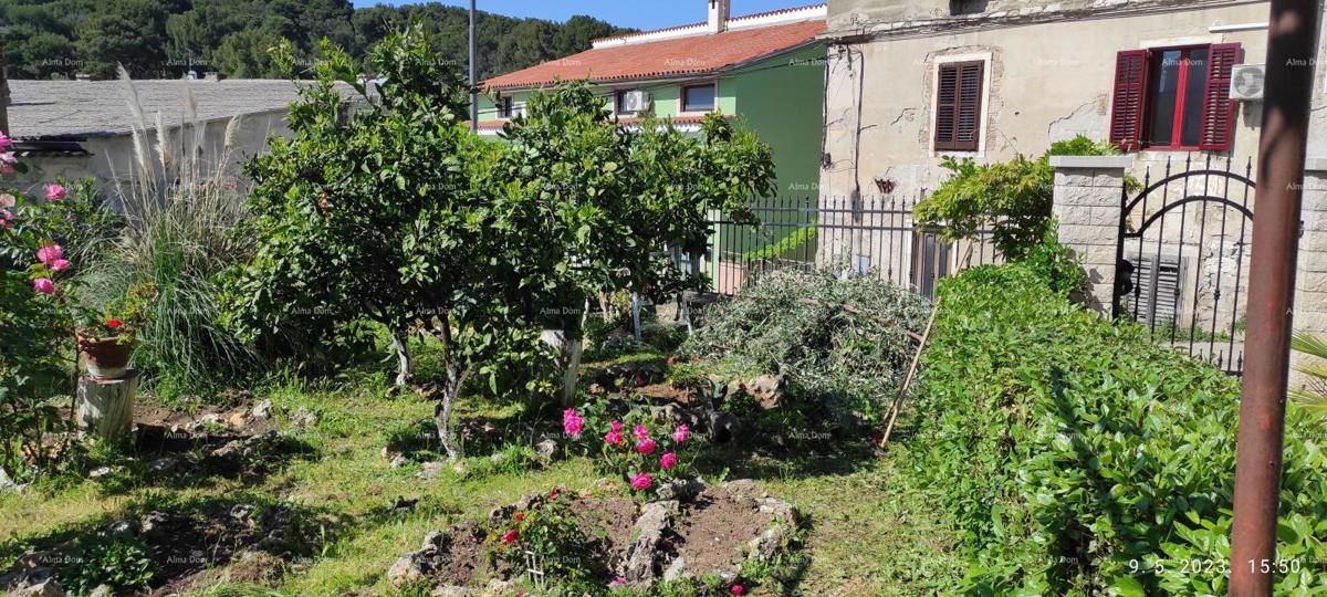 Pula. Casa con spazio commerciale e garage!