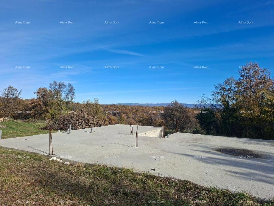 Sure! Please provide the title you would like me to translate into Italian.