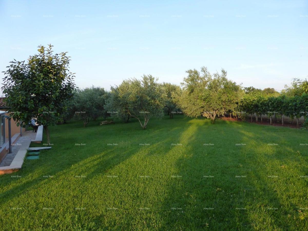 Villa in vendita, Marčana.