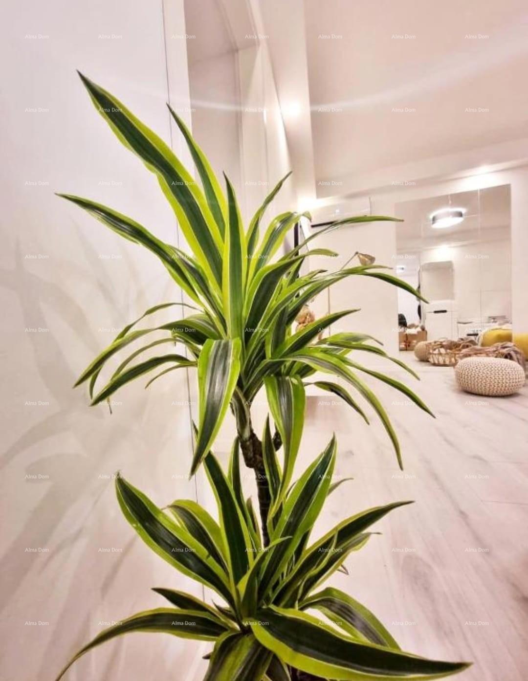 Pula, Arena – Appartamento Completamente Ristrutturato Vicino all'Arena