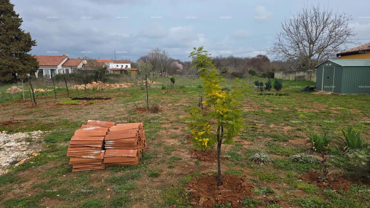 Vista sul mare!! Vendita di terreni con permesso di costruzione e progetto, nei dintorni di Vodnjan!