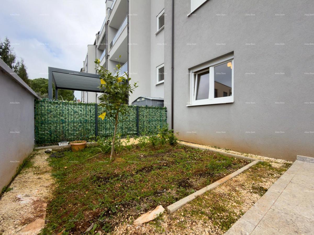 Sure! Please provide the title you would like me to translate into Italian.