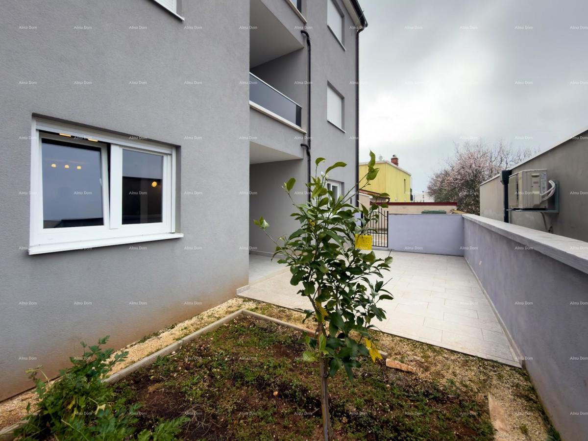 Sure! Please provide the title you would like me to translate into Italian.