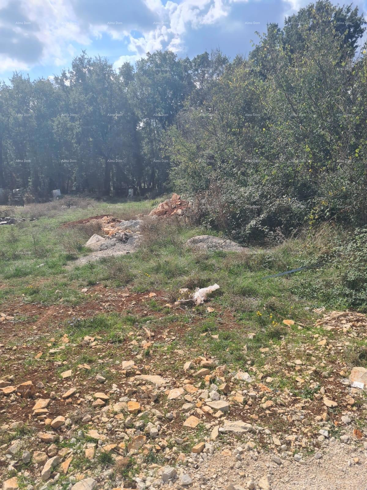 Bella villa con piscina situata in un ambiente tranquillo a Červar.