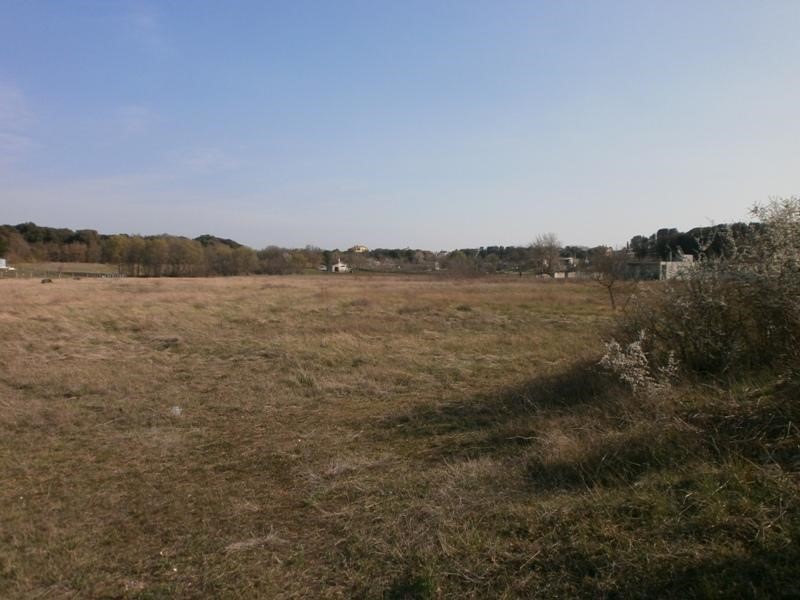 Grande terreno per la costruzione di una casa famigliare o la villa.