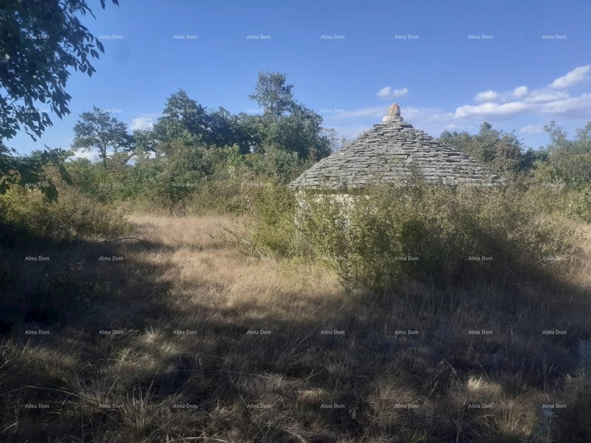 Terreno agricolo Juršići