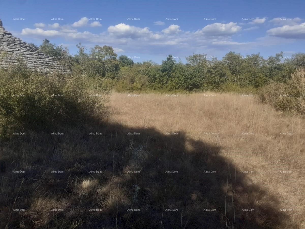 Terreno agricolo Juršići