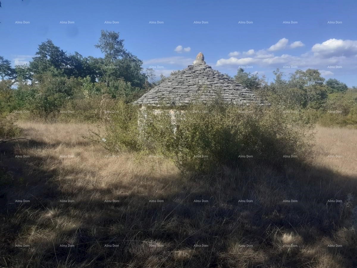 Terreno agricolo Juršići