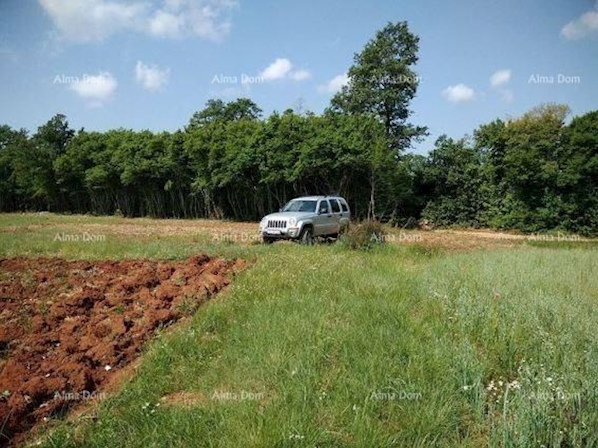 Terreno agricolo Svetvinčenat