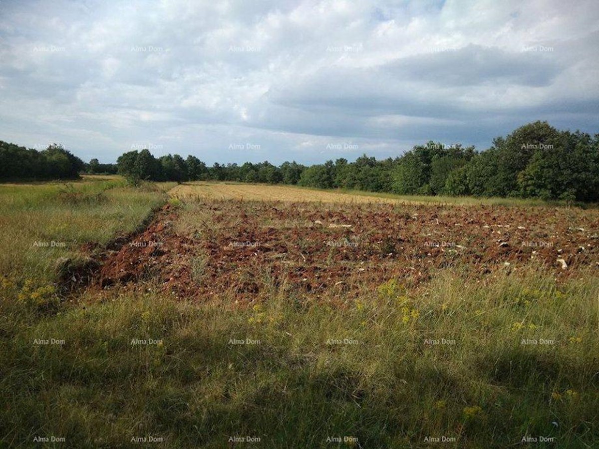 Terreno agricolo Svetvinčenat