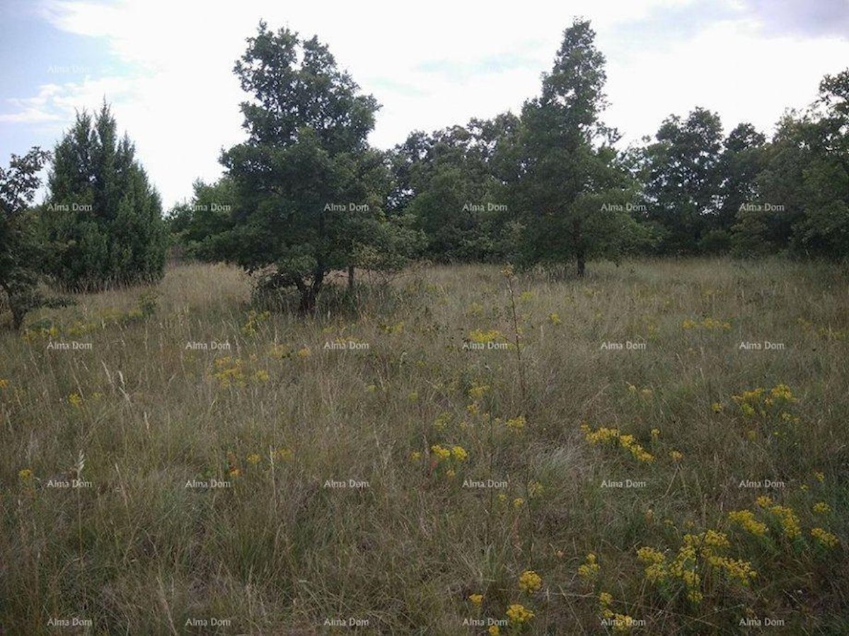 Terreno agricolo Svetvinčenat