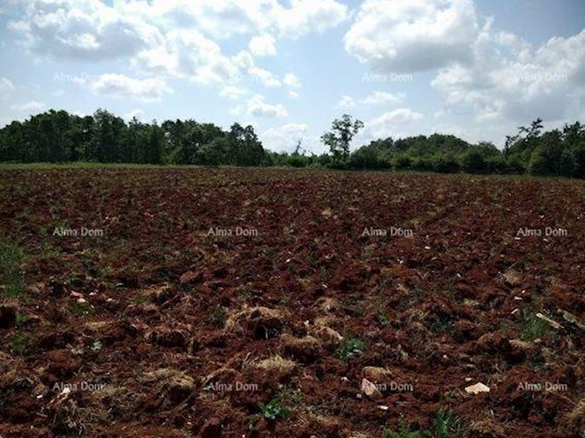 Terreno agricolo Svetvinčenat