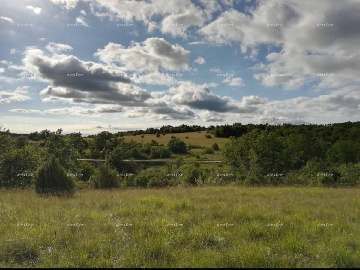 Terreno agricolo Oprtalj