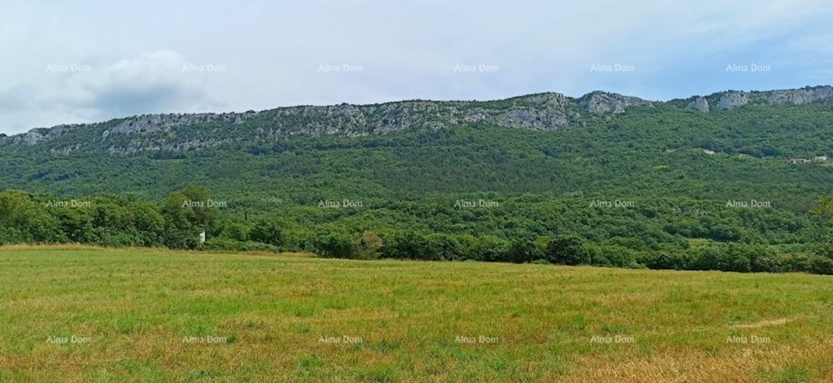 Terreno edificabile in vendita, 1374 m2, Pinguente!