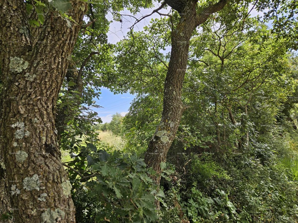 Terreno edificabile in vendita, 1712m2, Marčana