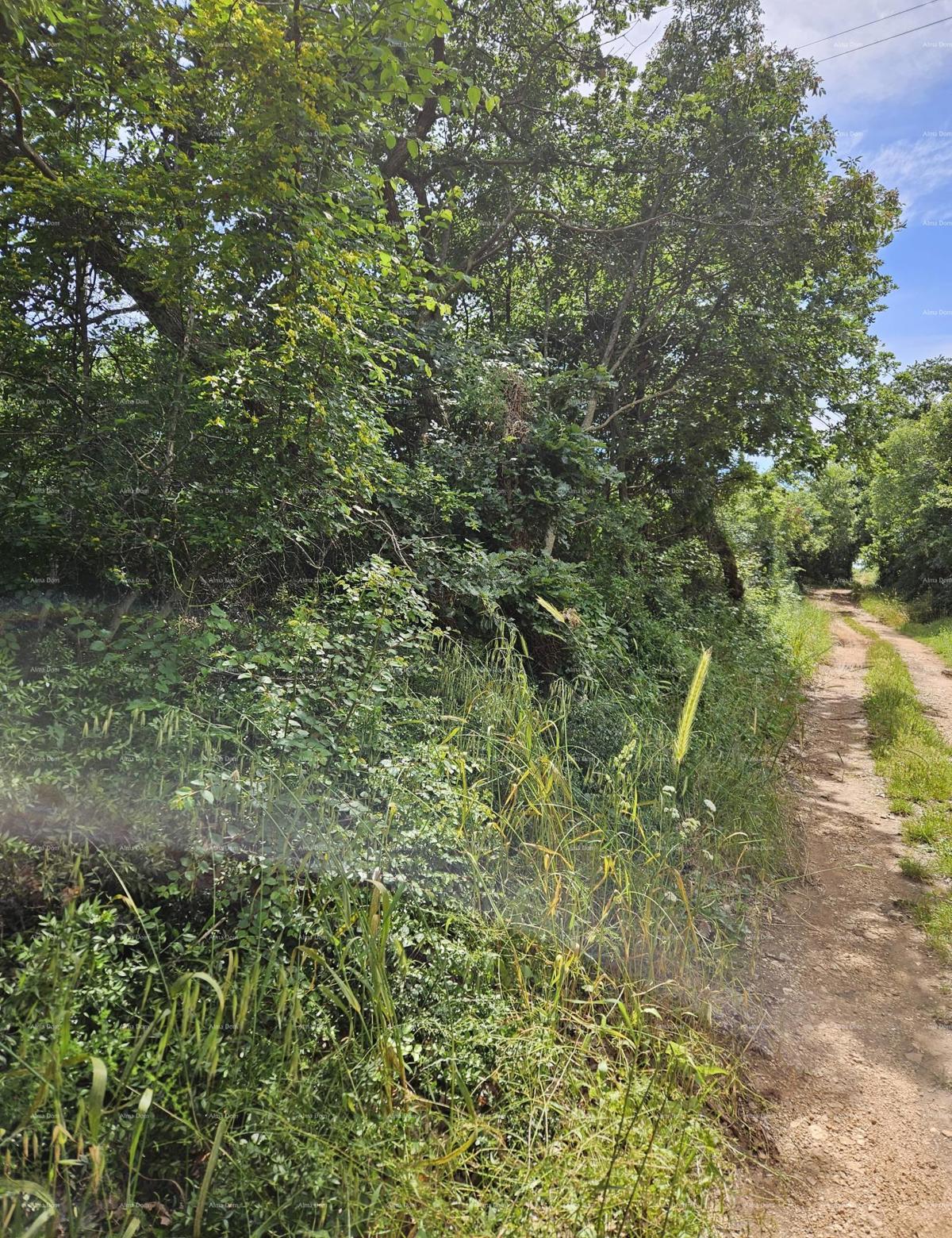 Terreno edificabile in vendita, 1712m2, Marčana