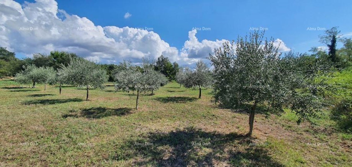 Terreno agricolo Kaštelir-Labinci