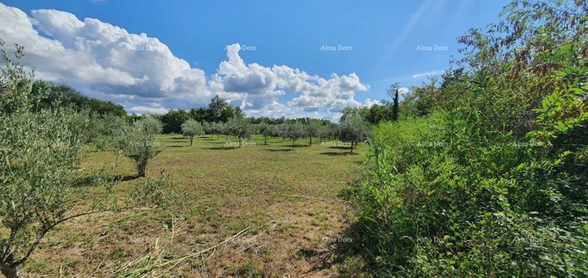 Terreno agricolo Kaštelir-Labinci