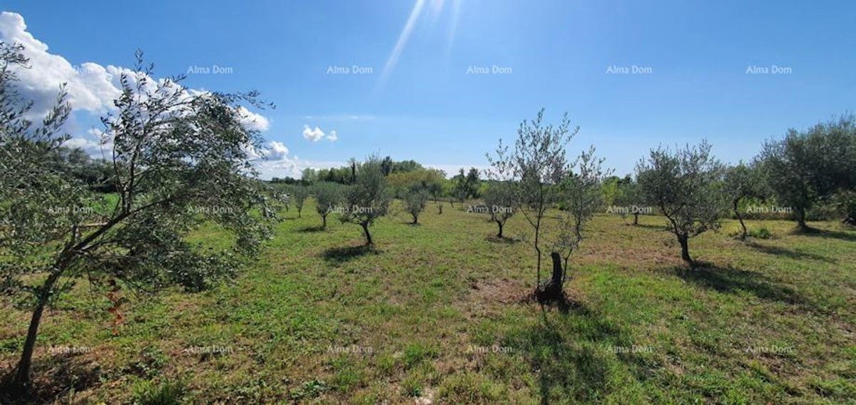 Terreno agricolo Kaštelir-Labinci