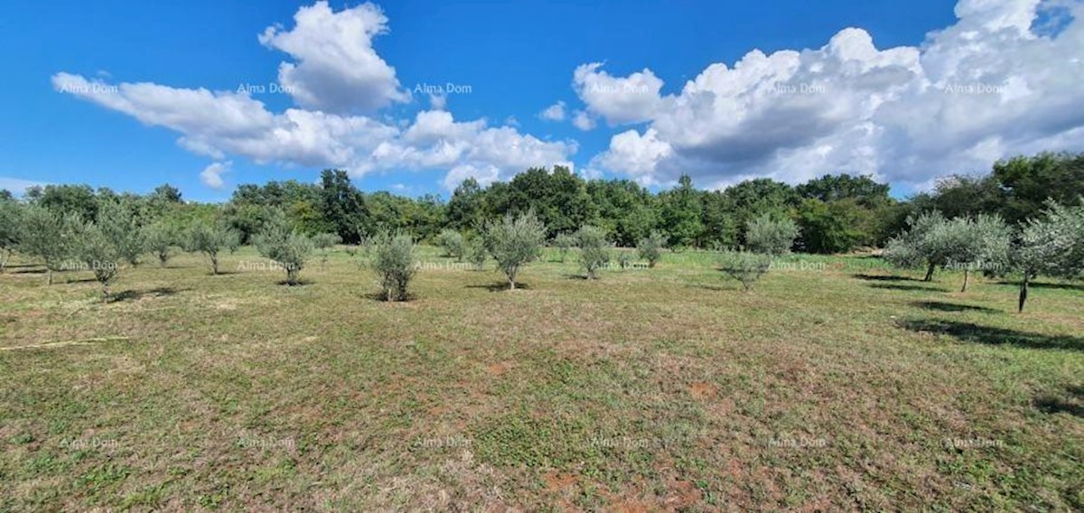 Terreno agricolo Kaštelir-Labinci