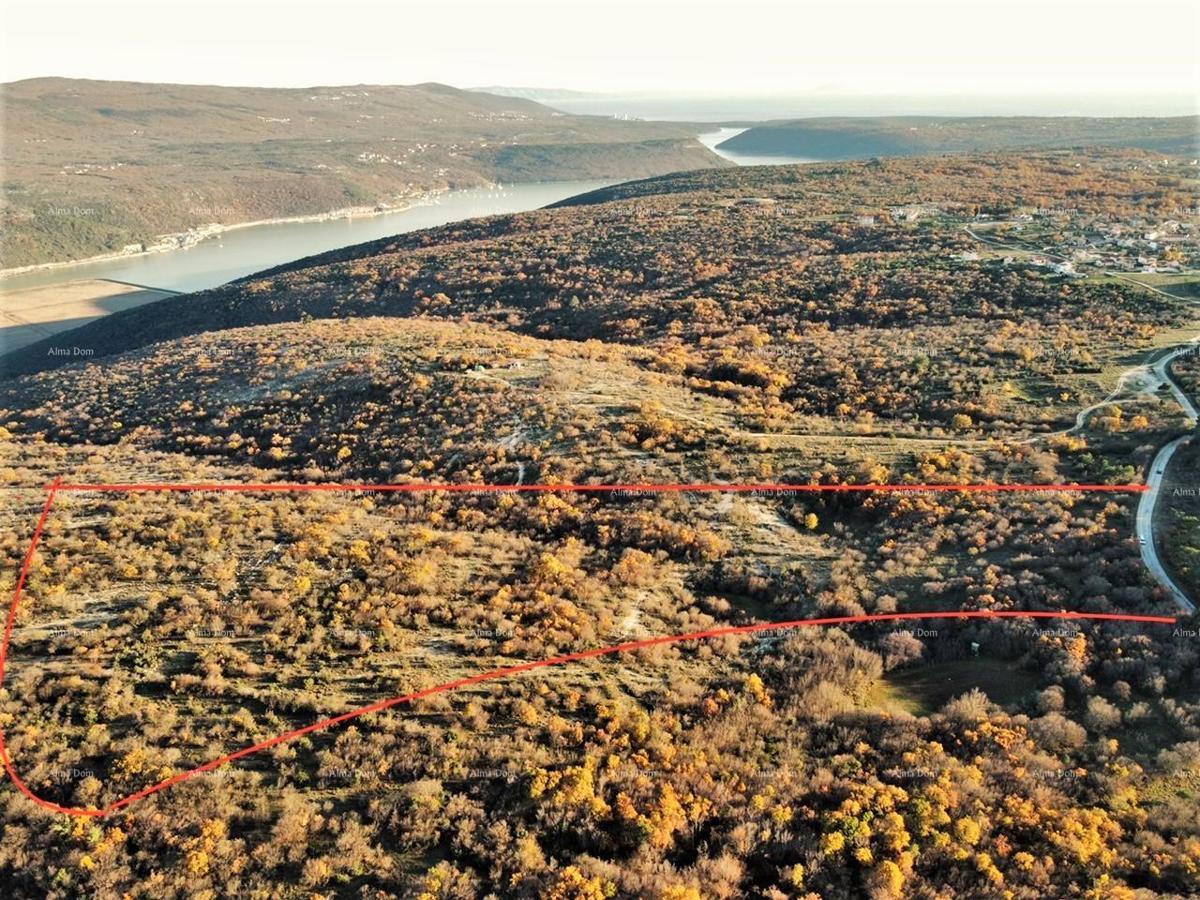 HRBOKI. 25.000 MQ IDEALI PER OPG. Terreno agricolo