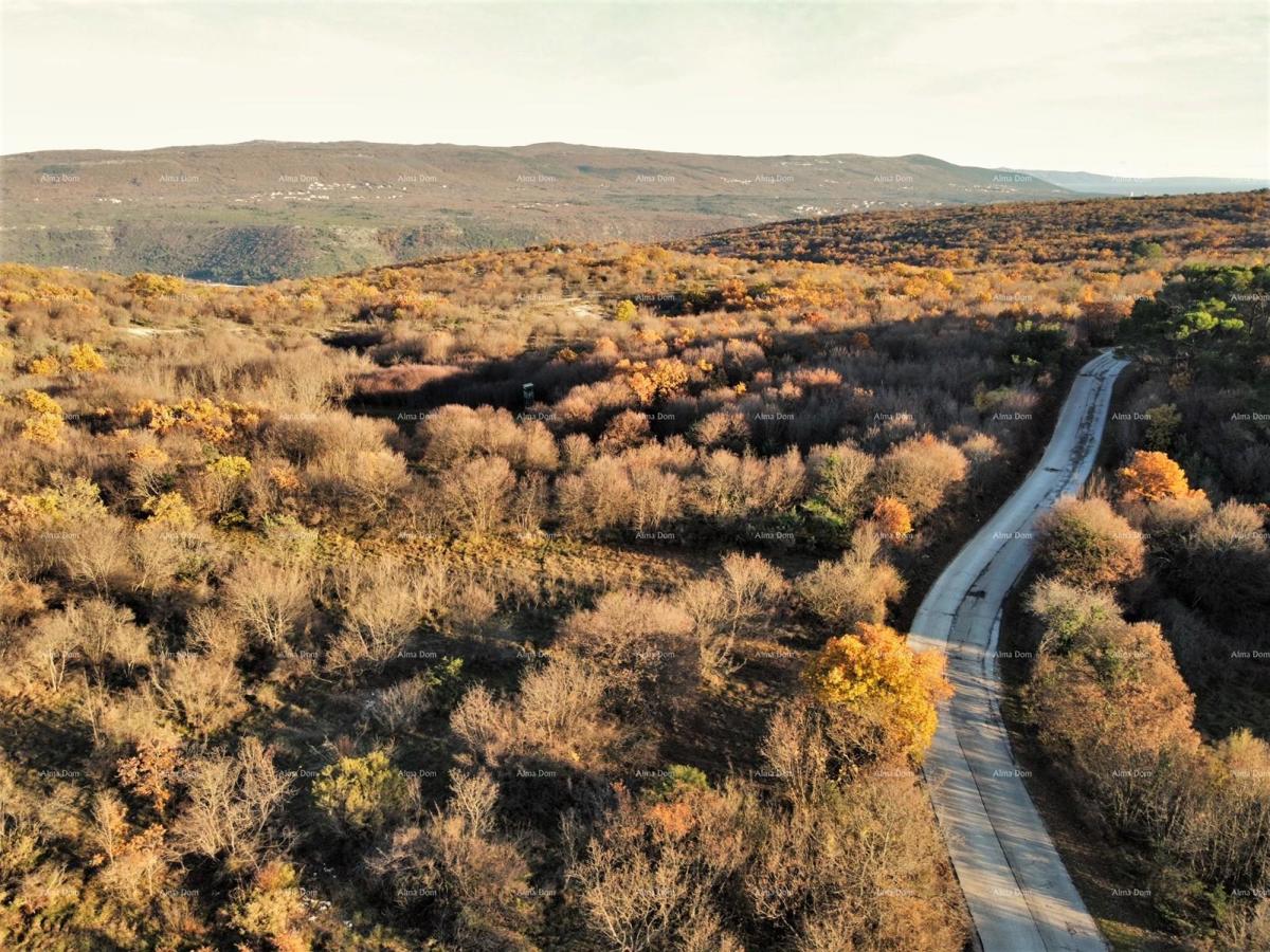 HRBOKI. 25.000 MQ IDEALI PER OPG. Terreno agricolo