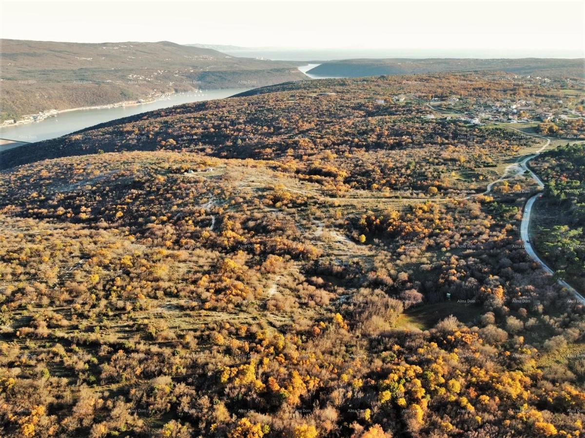 HRBOKI. 25.000 MQ IDEALI PER OPG. Terreno agricolo