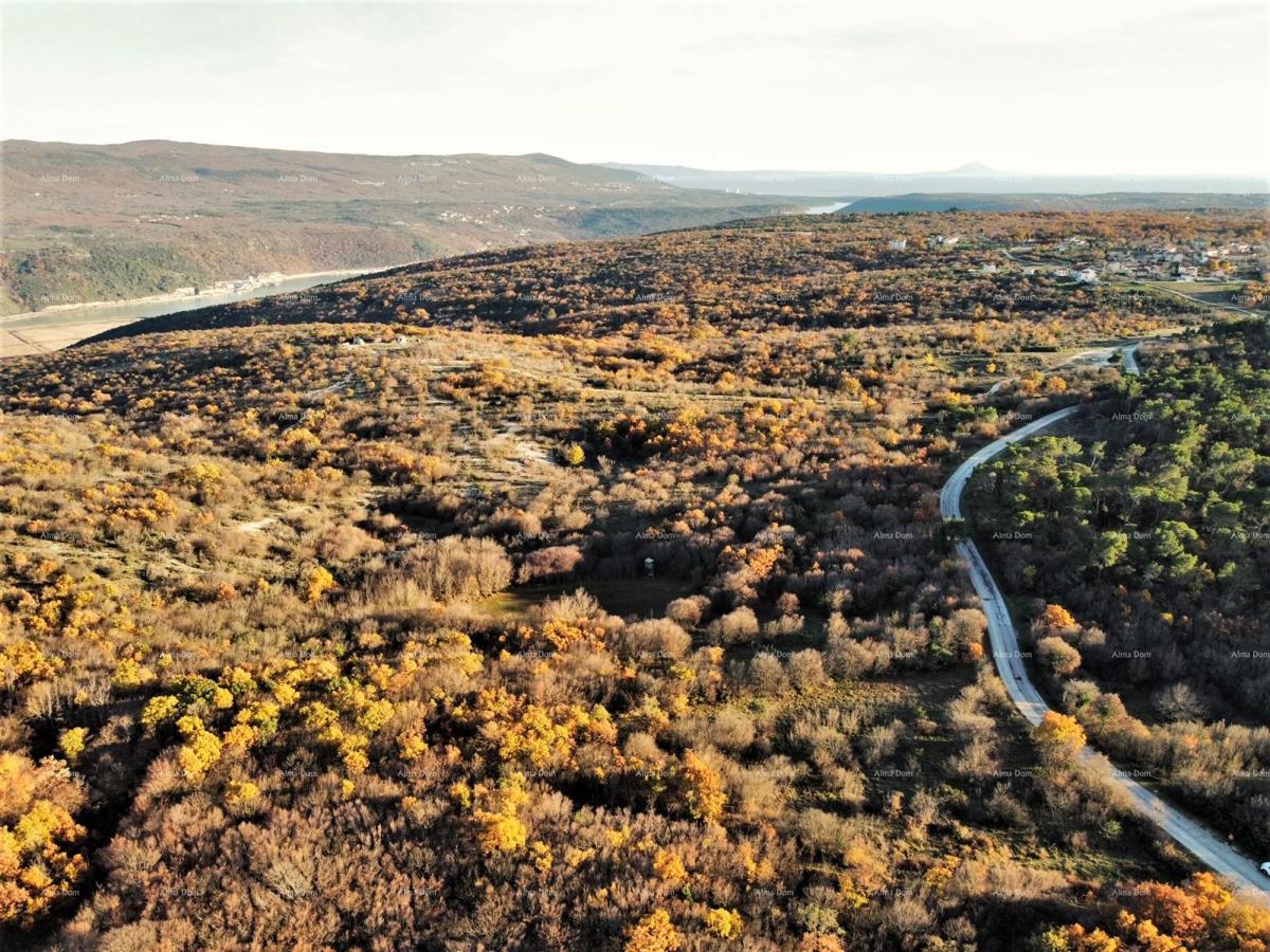 HRBOKI. 25.000 MQ IDEALI PER OPG. Terreno agricolo