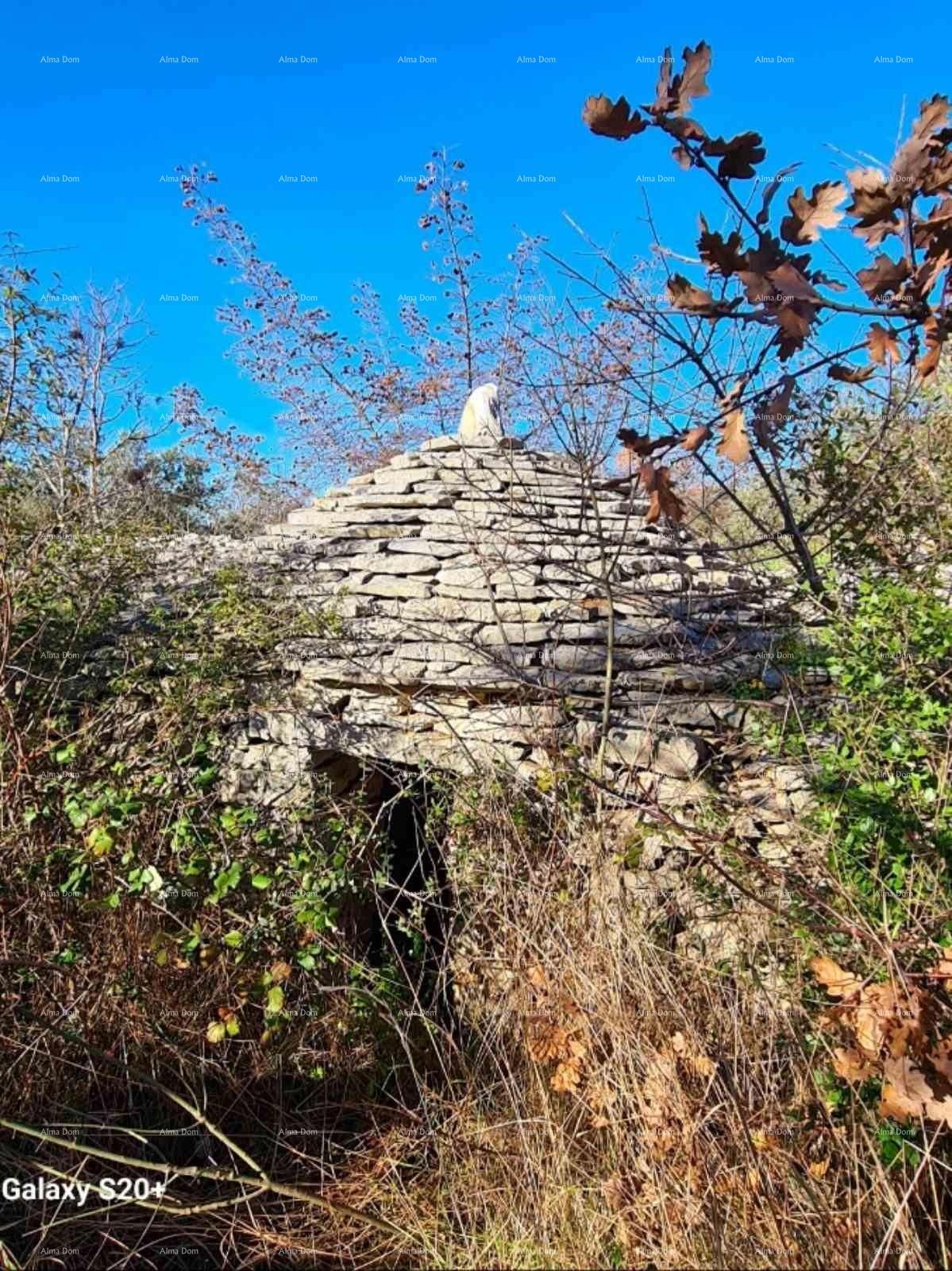 Terreno agricolo Fažana