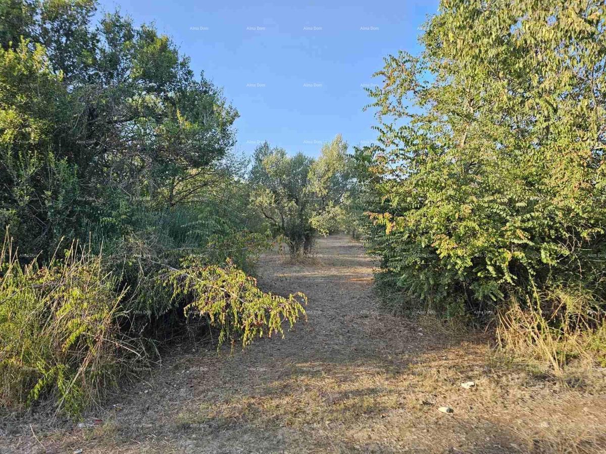 Terreno agricolo Fažana