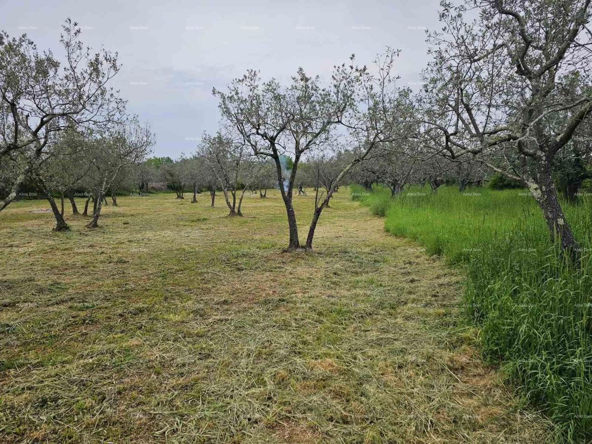 Terreno agricolo Fažana