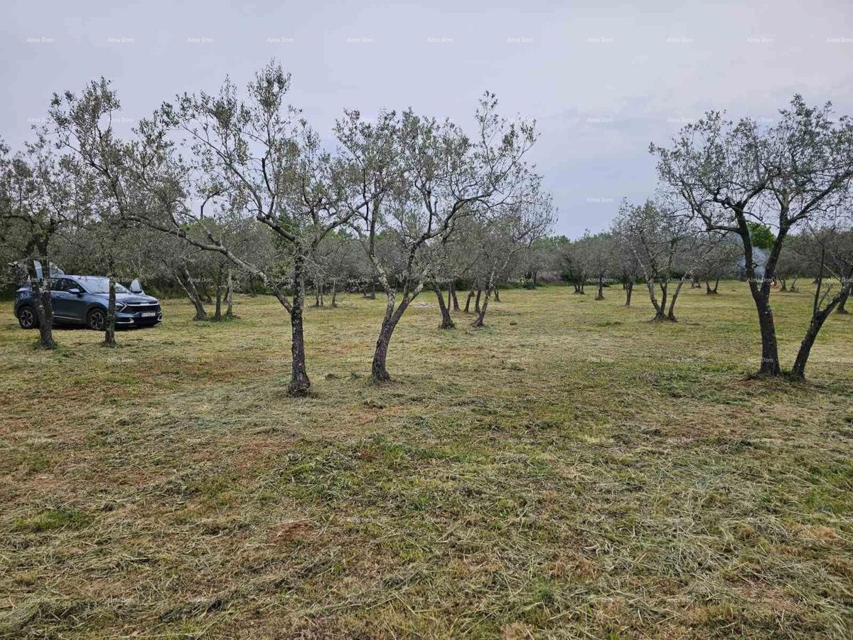 Terreno agricolo Fažana