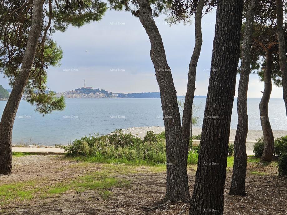 Rovigno: Proprietà vicino alla spiaggia, circondata da pini