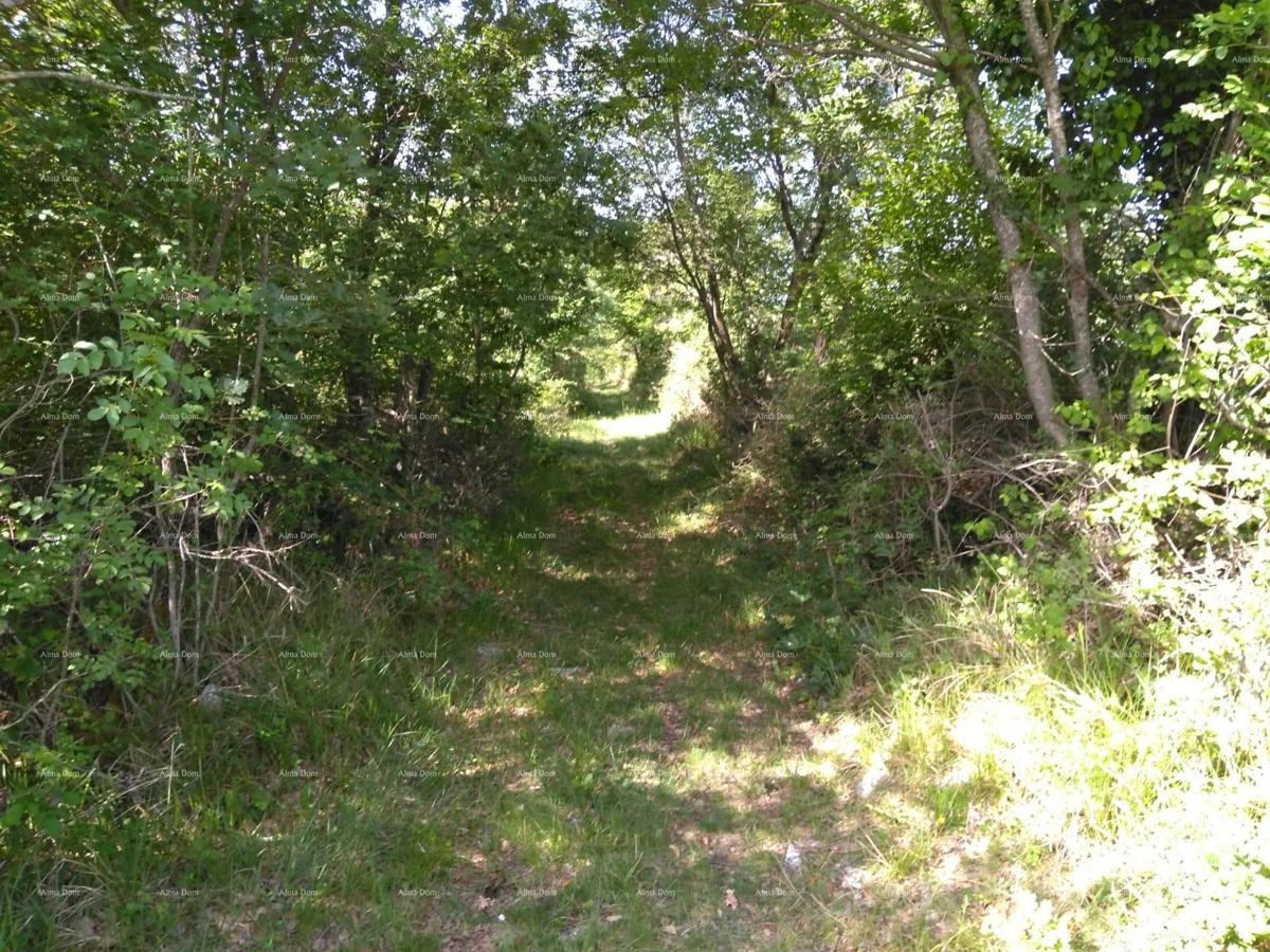 Terreno agricolo Poreč