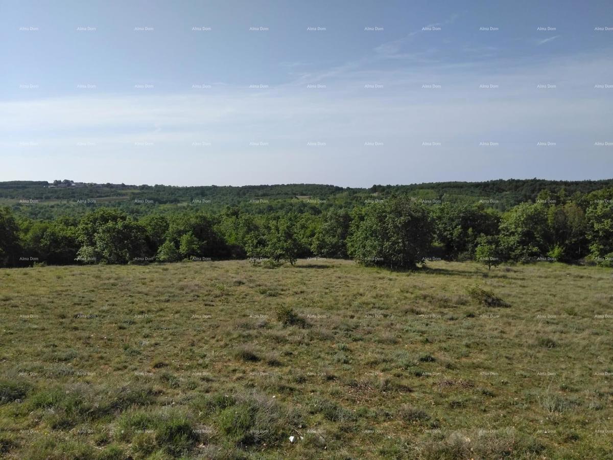 Terreno agricolo Poreč