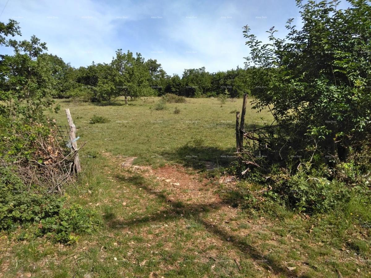 Terreno agricolo Poreč