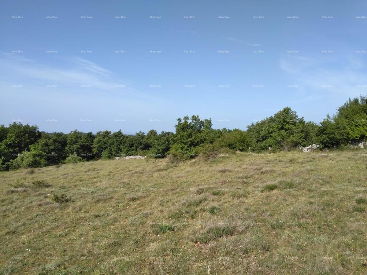 Terreno agricolo Poreč